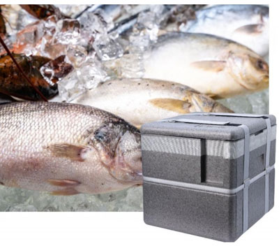 SurperTech EPP-VIP Insulation Box: A New Choice for Cost-Effective Cold Chain Transportation